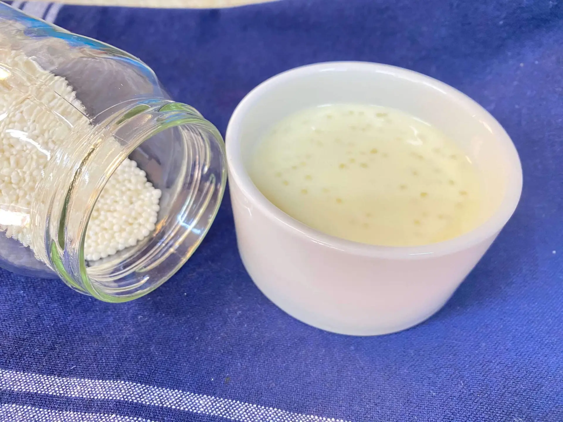 Indulge in the Richness of Sago Seed Pudding