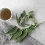 Health Benefits of Sage Tea