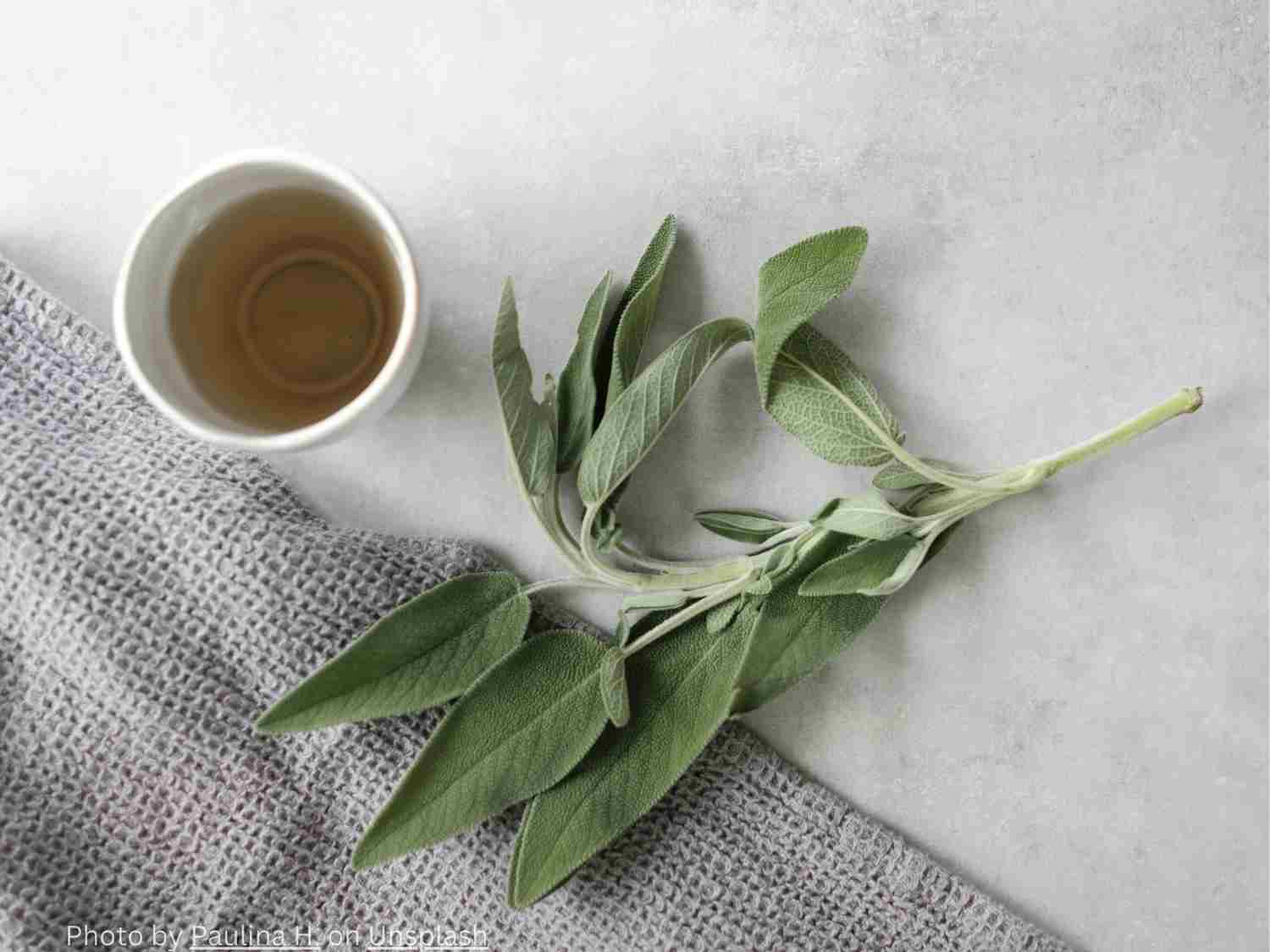 Health Benefits of Sage Tea